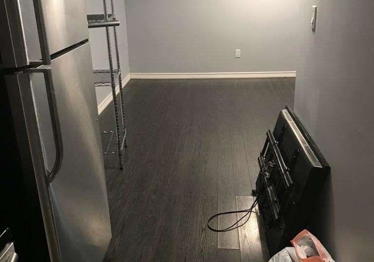291-pacific-avenue-toronto-toronto-ontario-w13676212