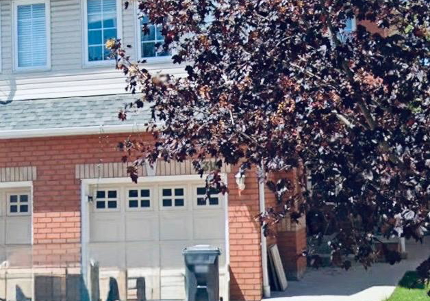 7318-frontier-ridge-mississauga-ontario-w13677232