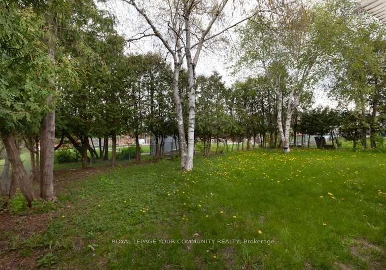 8-stanwood-crescent-toronto-york-ontario-w13698212