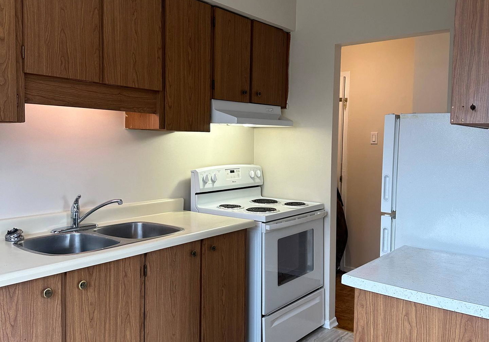 7-mohawk-avenue-mississauga-ontario-w13700036