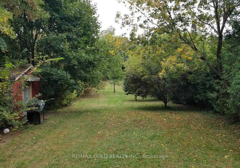 11-mclaughlin-road-brampton-ontario-w13705058