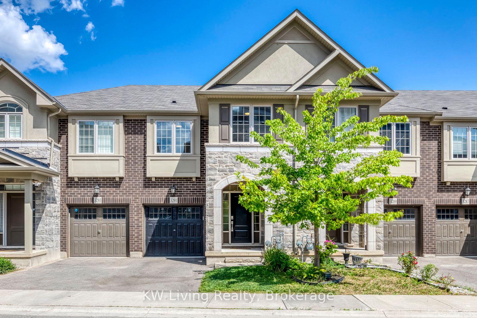 3291-mockingbird-common-oakville-ontario-w13707470