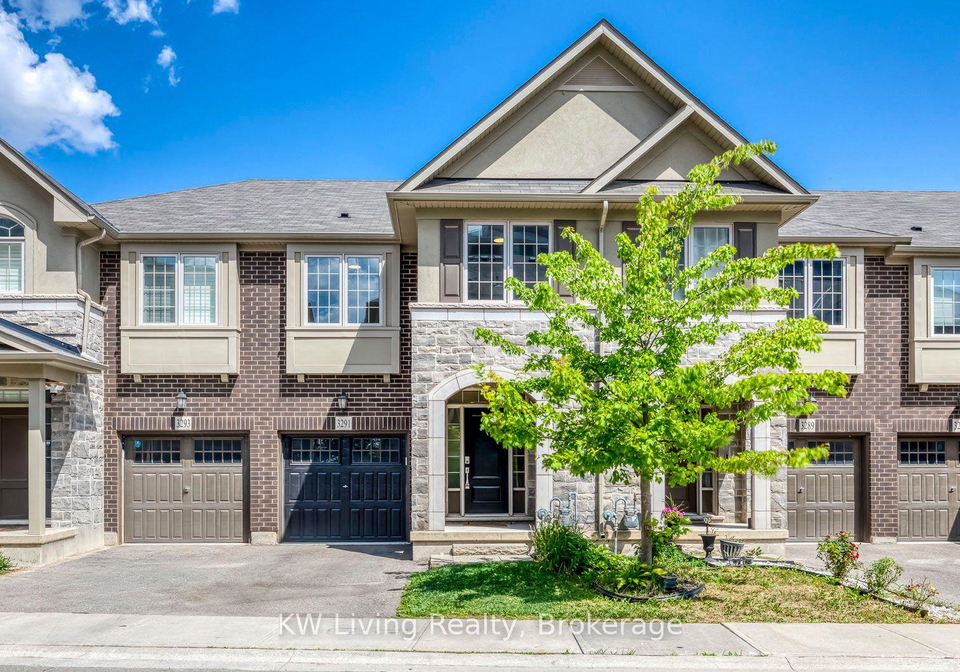 3291-mockingbird-common-oakville-ontario-w13707470
