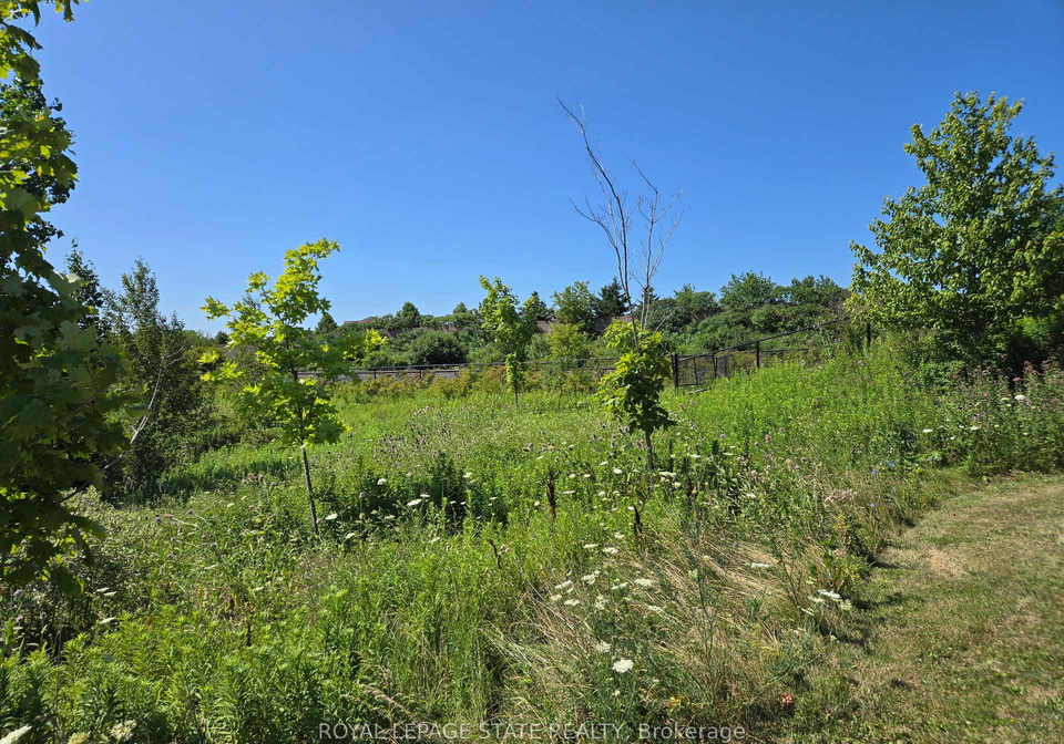 50-dredge-court-milton-ontario-w13707830