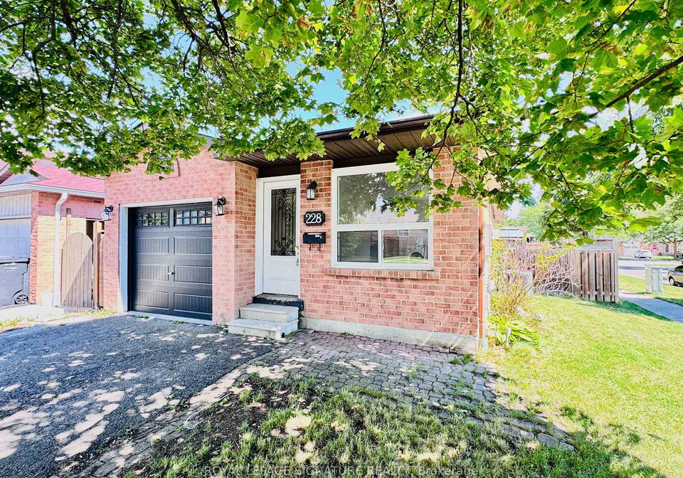 228-martindale-crescent-brampton-ontario-w13718386