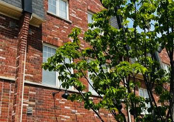144-inspire-boulevard-brampton-ontario-w13724196