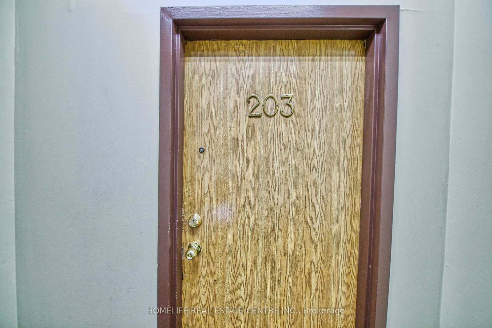 223-jameson-avenue-toronto-toronto-ontario-w13733470