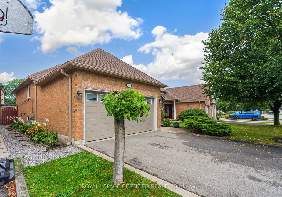 45-springview-drive-brampton-ontario-w13743918
