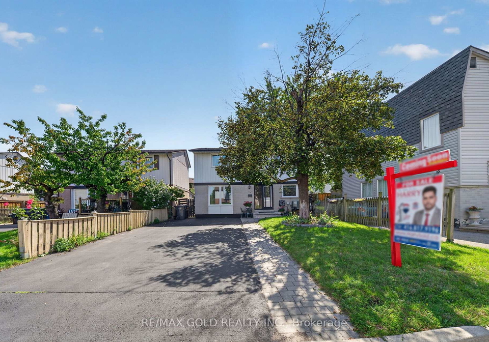 10-jeffrey-street-brampton-ontario-w13759886