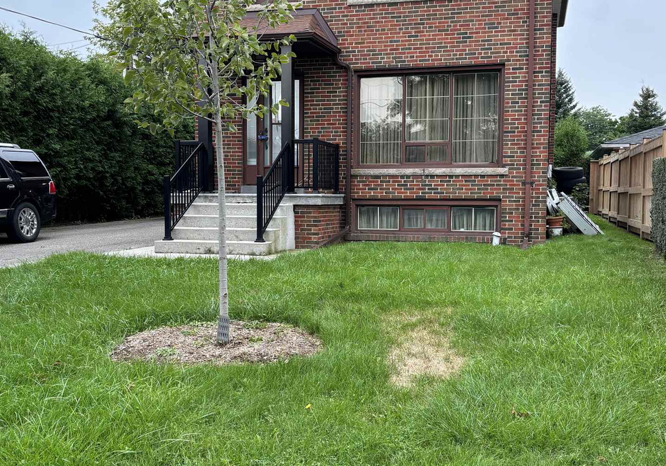 200-locksley-avenue-toronto-north-york-ontario-w13763462