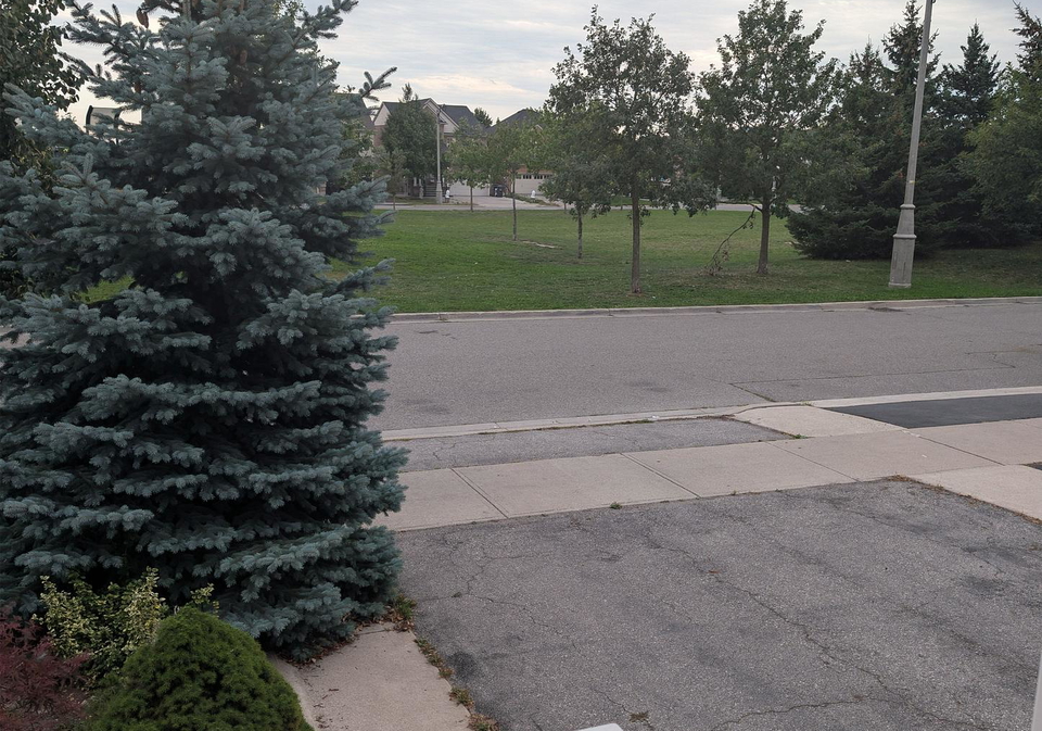 228-fandango-drive-brampton-ontario-w13778138