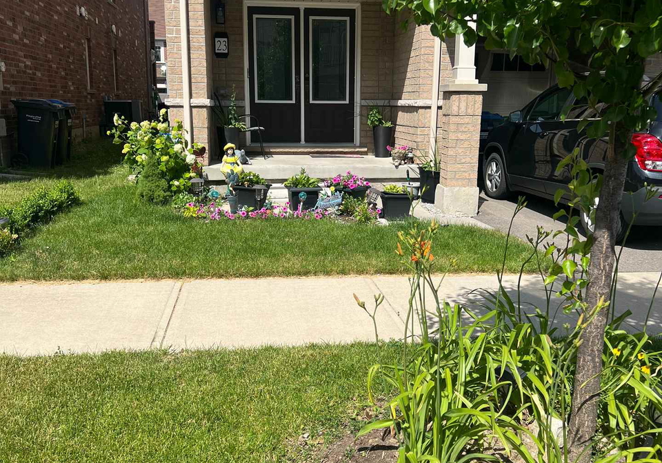 23-francesco-street-brampton-ontario-w13790886