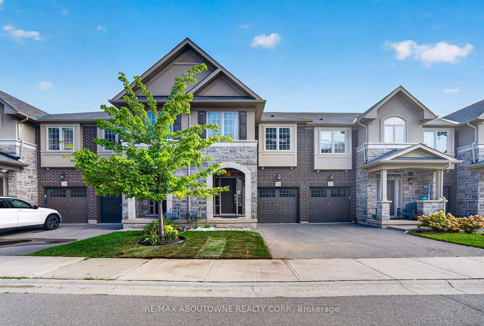 3289-mockingbird-common-oakville-ontario-w13796290