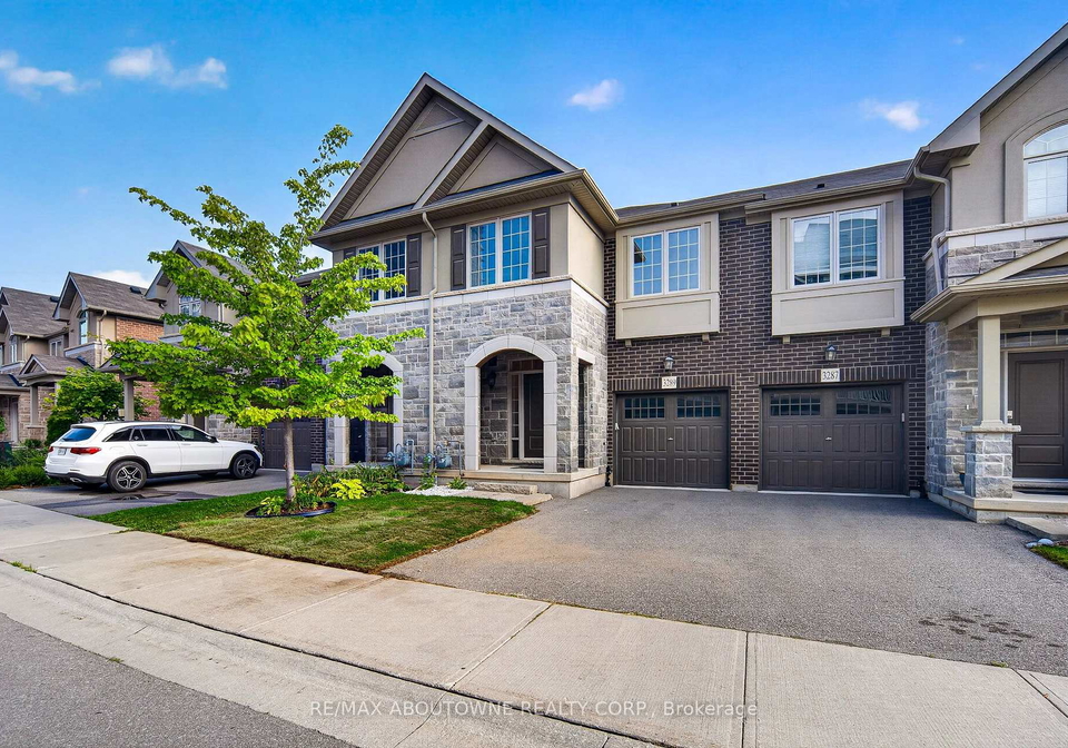 3289-mockingbird-common-oakville-ontario-w13796290
