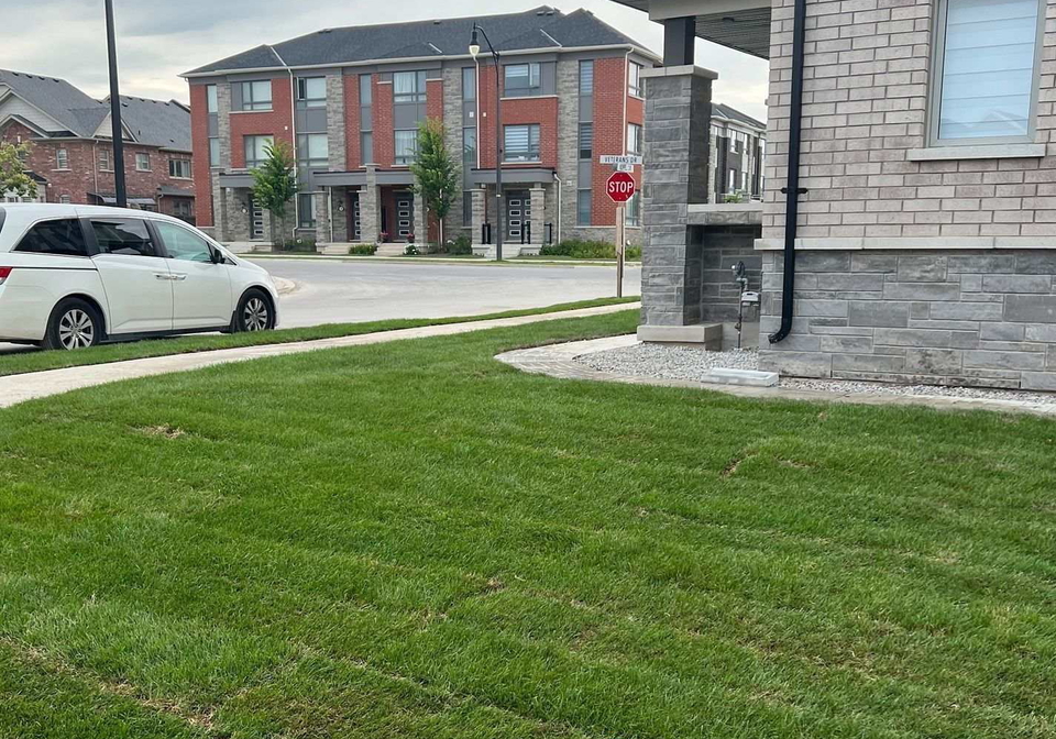 2-plume-street-brampton-ontario-w13807286
