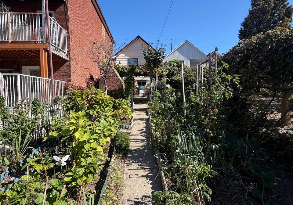 40-avon-avenue-toronto-toronto-ontario-w13843086