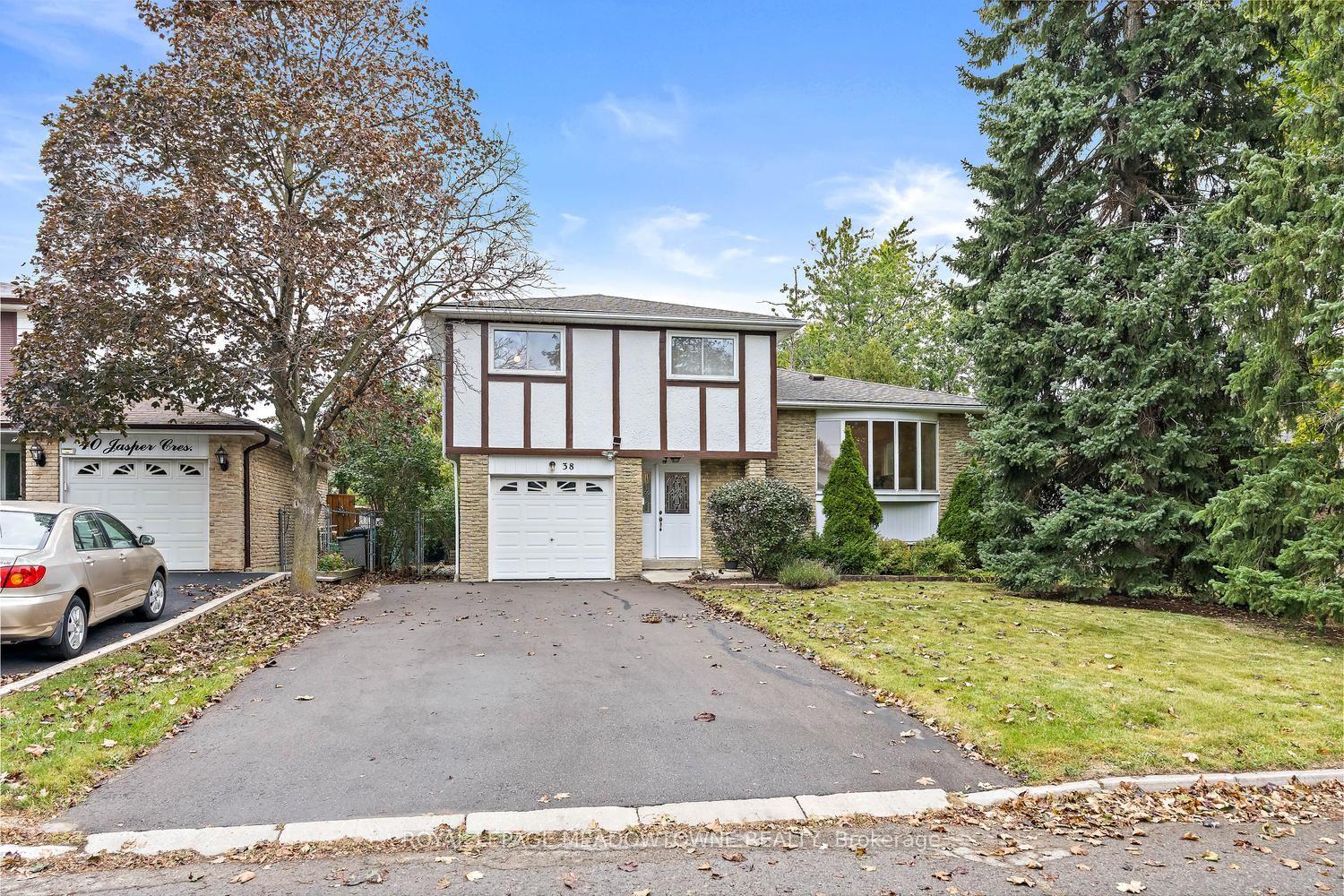 38-jasper-crescent-brampton-ontario-w13854632