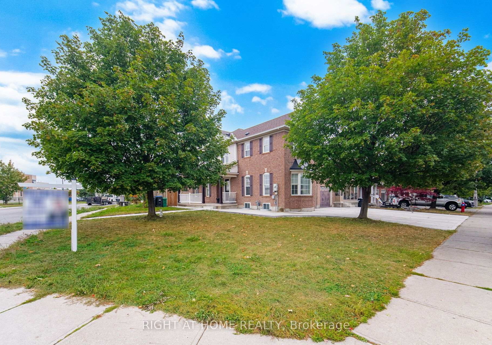 355-brisdale-drive-brampton-ontario-w13856124