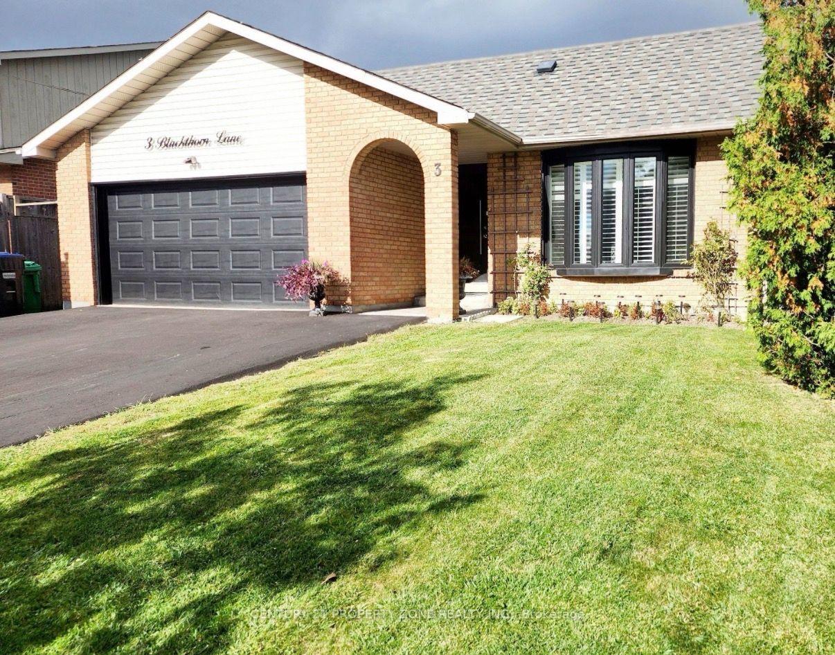 3-blackthorn-lane-e-brampton-ontario-w13859838