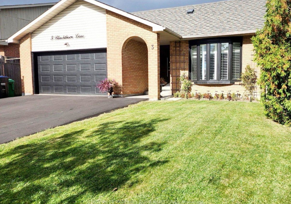 3-blackthorn-lane-e-brampton-ontario-w13859838