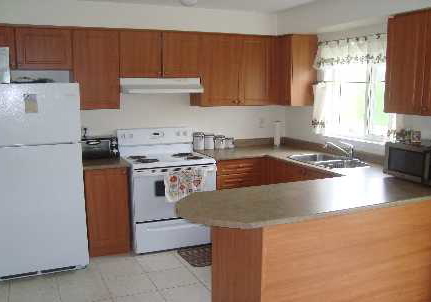 294-albright-road-brampton-ontario-w1617480
