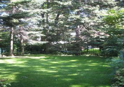 325-willard-avenue-toronto-ontario-w1691900