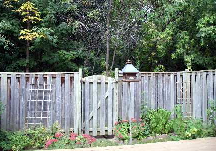 19-morley-crescent-brampton-ontario-w1712281