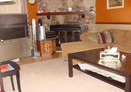 28-ferguson-place-brampton-ontario-w1830905