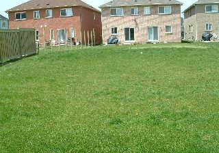 33-native-landing-brampton-ontario-w262843