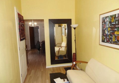 51-brock-avenue-toronto-ontario-w2649528