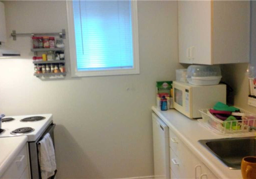 223-fairview-avenue-toronto-ontario-w3448974