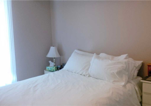223-fairview-avenue-toronto-ontario-w3448974