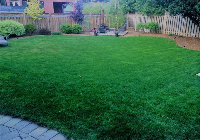 2421-arbordale-drive-mississauga-ontario-w3719865