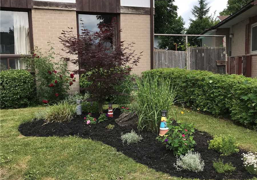 5-herron-place-brampton-ontario-w4808343