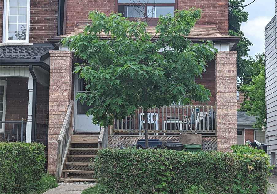 229-silverthorn-avenue-toronto-ontario-w5649777