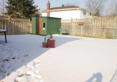 431-ginger-downs-mississauga-ontario-w607922