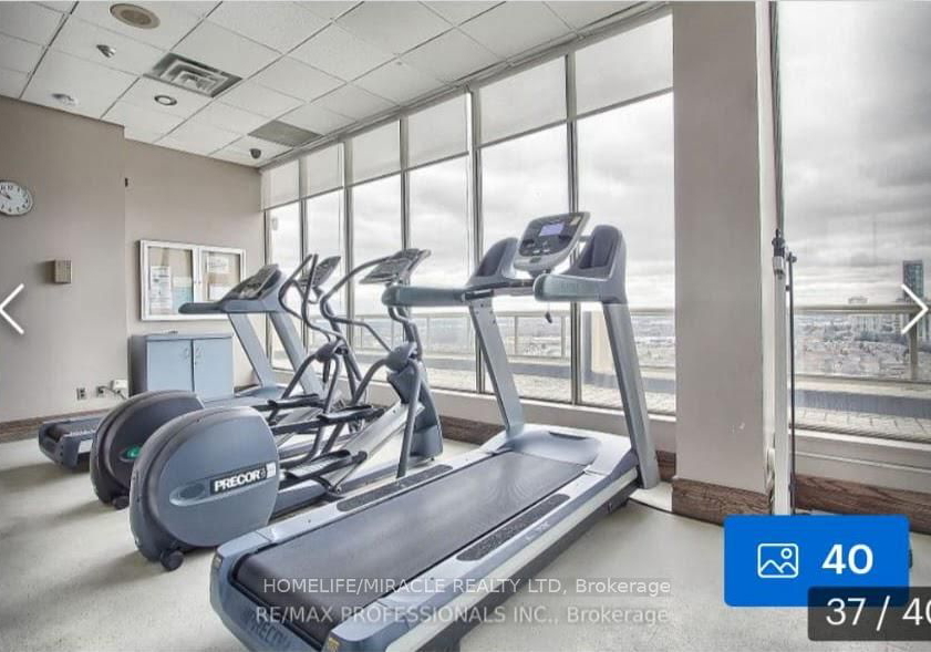 55-elm-street-mississauga-ontario-w9512426