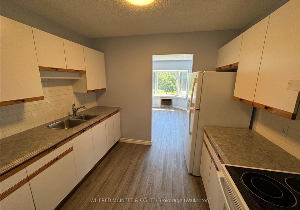 125-hinks-street-brockton-ontario-x10845692