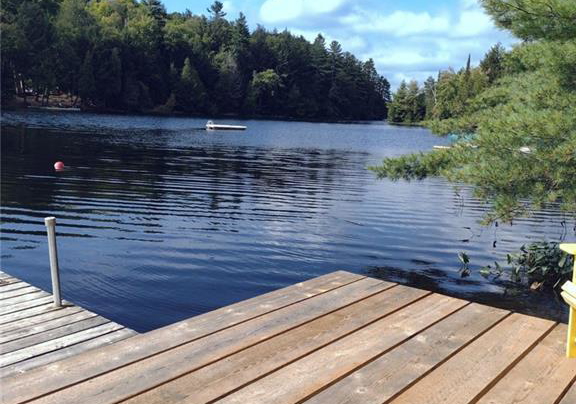 11001-crane-lake-drive-s-algonquin-highlands-ontario-x10894149