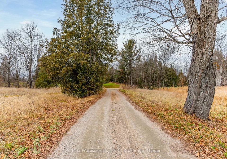 1047-mccrea-road-highlands-east-ontario-x11822936