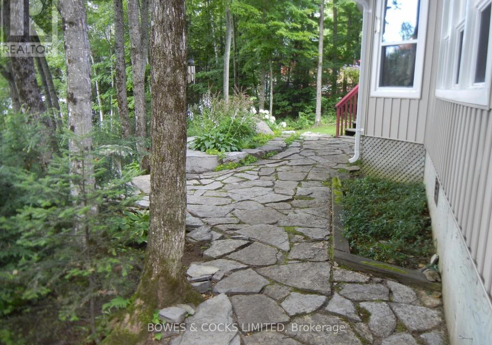 233-doc-evans-street-north-kawartha-ontario-x11895381