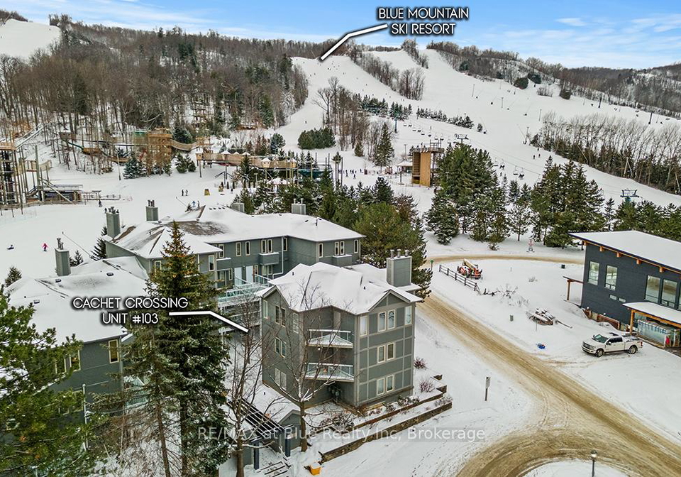 107-ann-heggtveit-drive-blue-mountains-ontario-x11900841