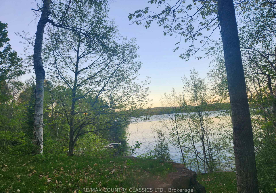 431-bowers-point-road-hastings-highlands-ontario-x11933774