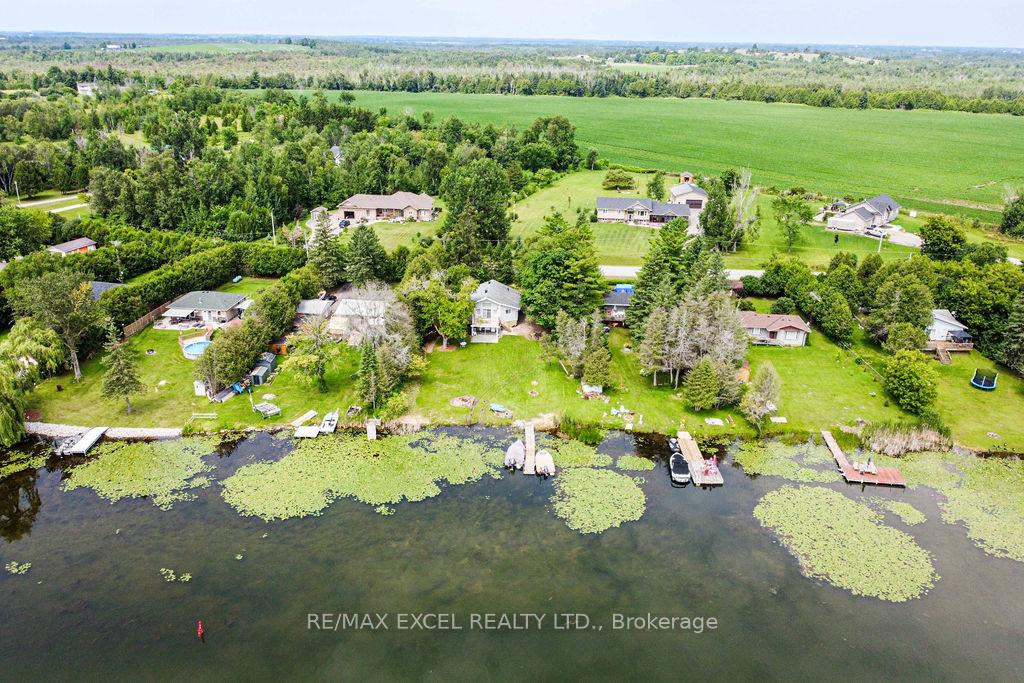 234-oreilly-lane-kawartha-lakes-ontario-x11940858