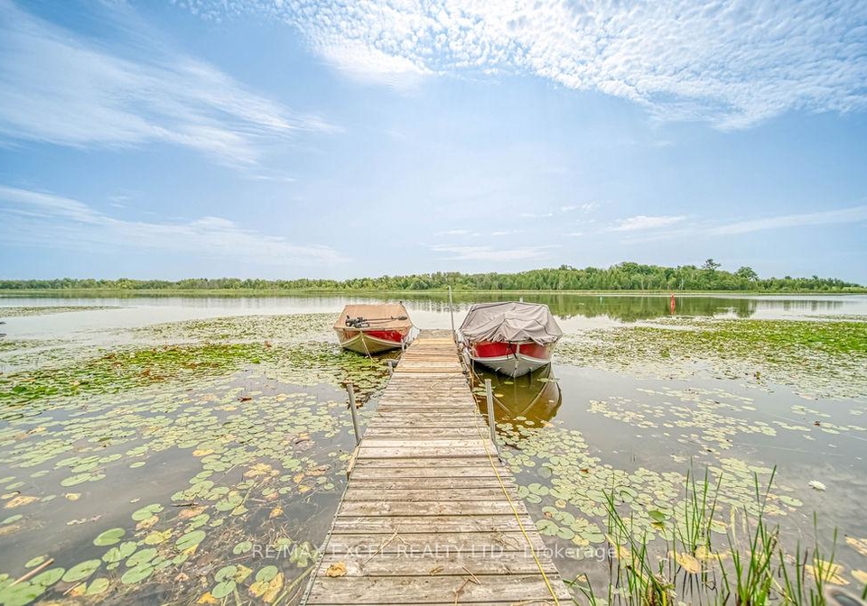 234-oreilly-lane-kawartha-lakes-ontario-x11940858