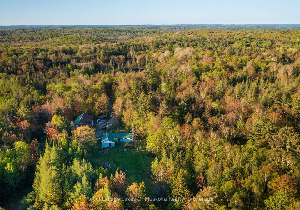 203-con-4-5-road-w-huntsville-ontario-x11985019