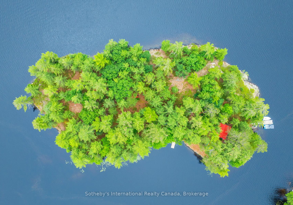 16lk-1-wolf-island-gravenhurst-ontario-x11994691