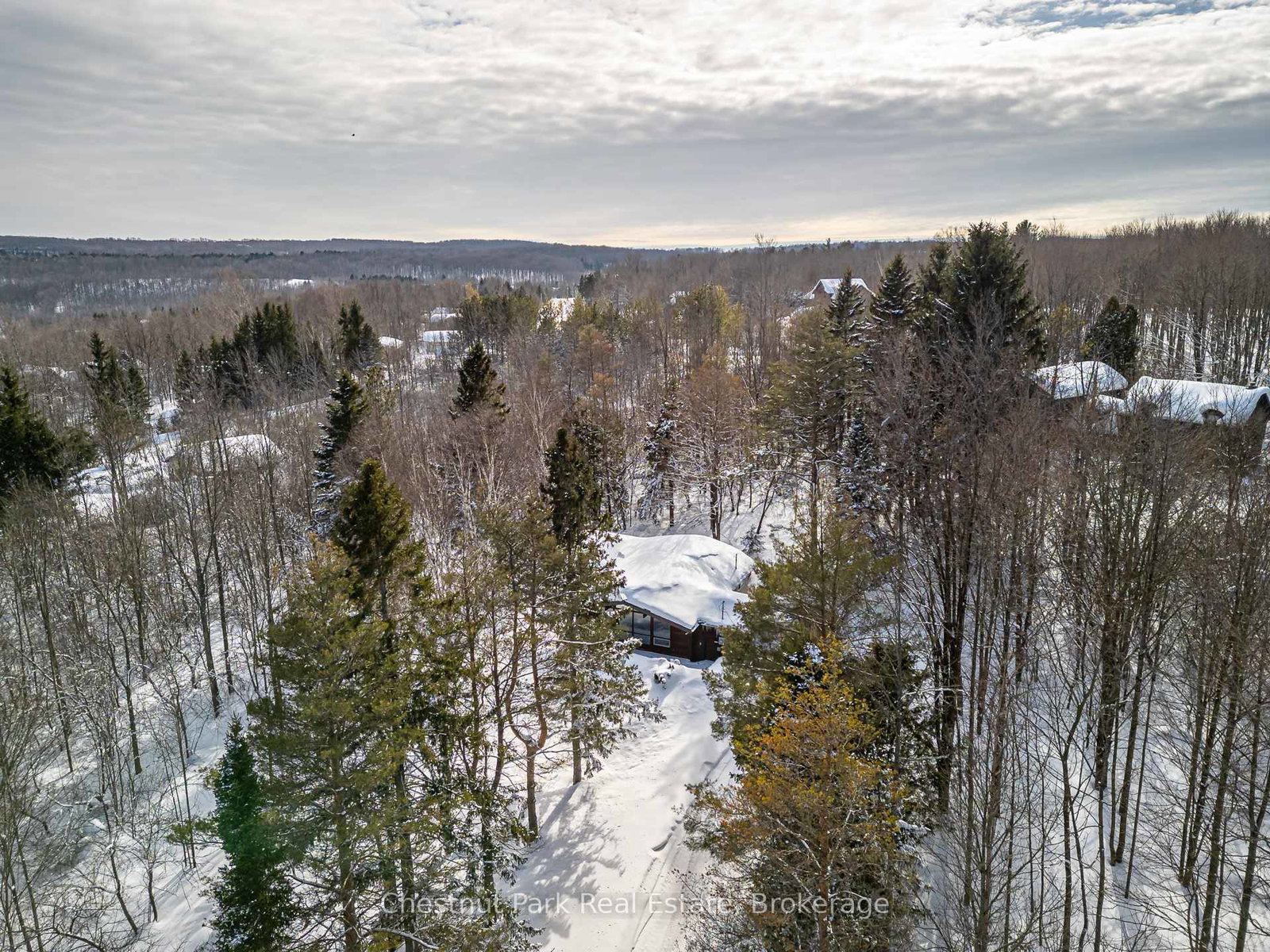 116-castleview-road-blue-mountains-ontario-x12002652