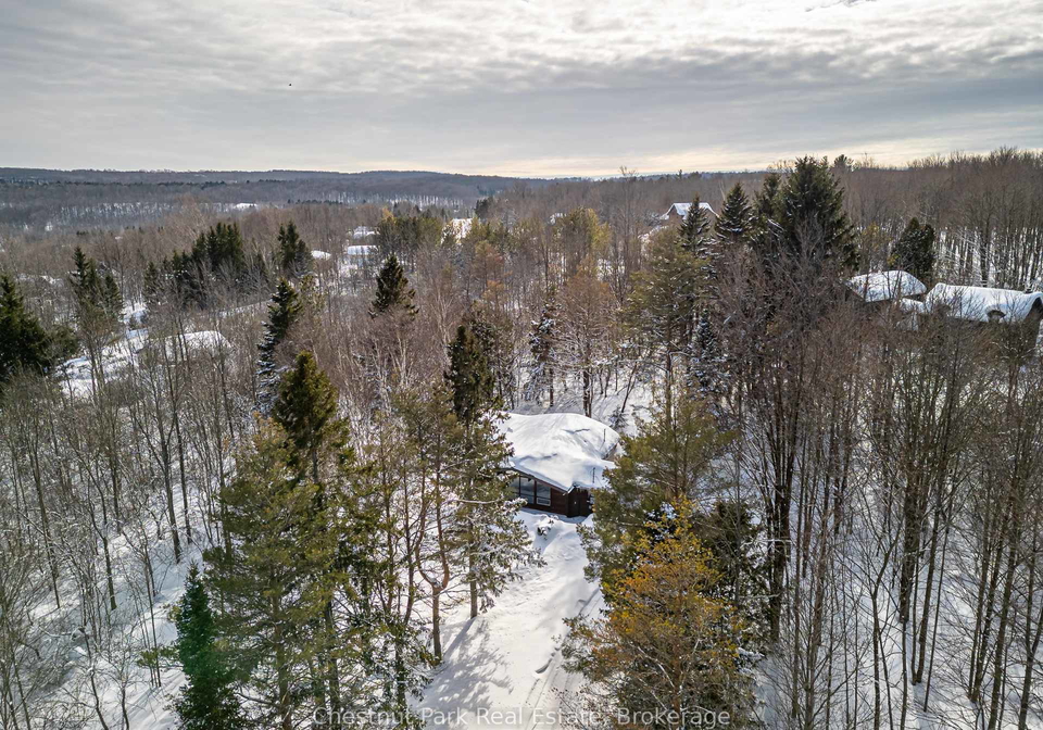 116-castleview-road-blue-mountains-ontario-x12002652