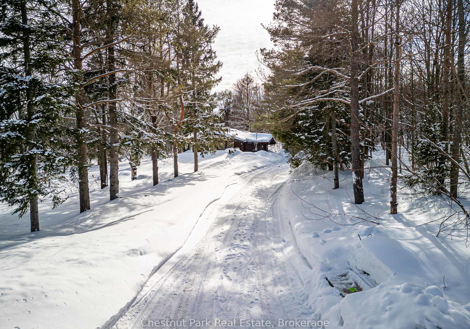 116-castleview-road-blue-mountains-ontario-x12002652